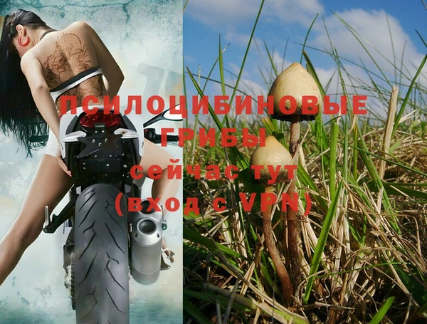 гидра Ростов