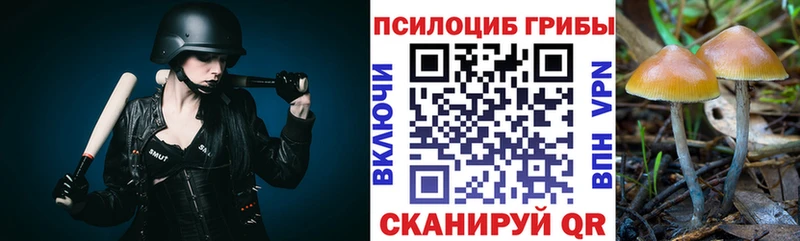 кракен зеркало мориарти телеграм Псилоцибиновые грибы MAGIC MUSHROOMS Ужур
